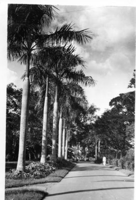 Le parc de Saigon